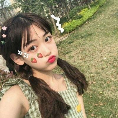 动画纪录